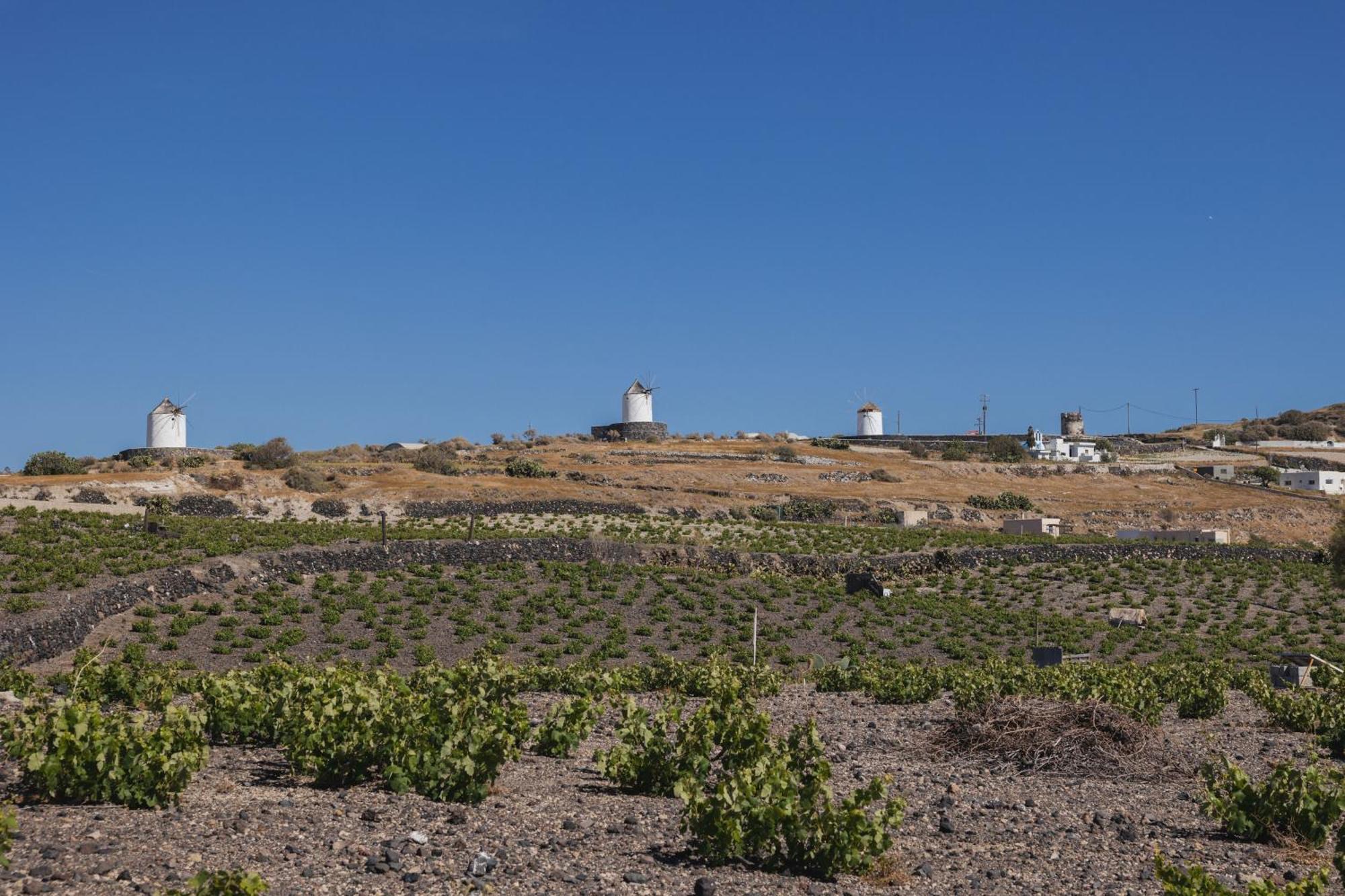 Windmillside Luxury Appartamento *